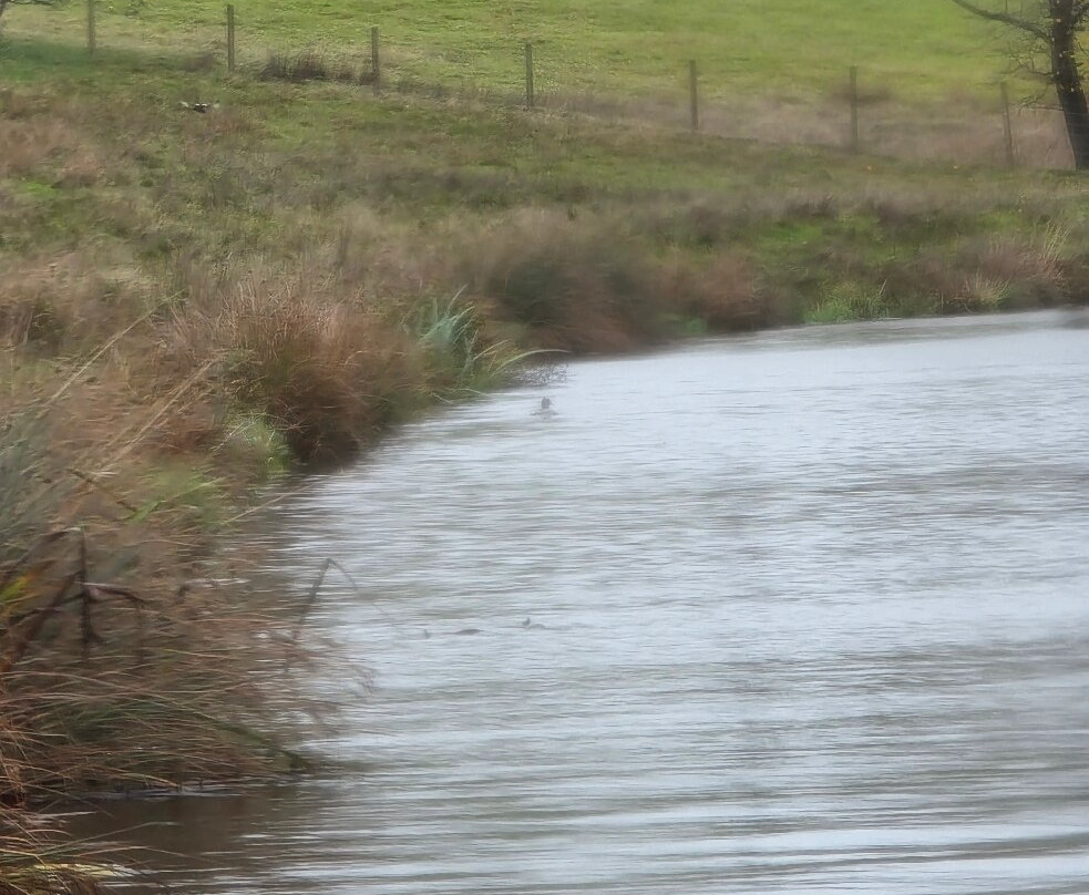 Skipton Boat Trips-斯基普顿必去景点