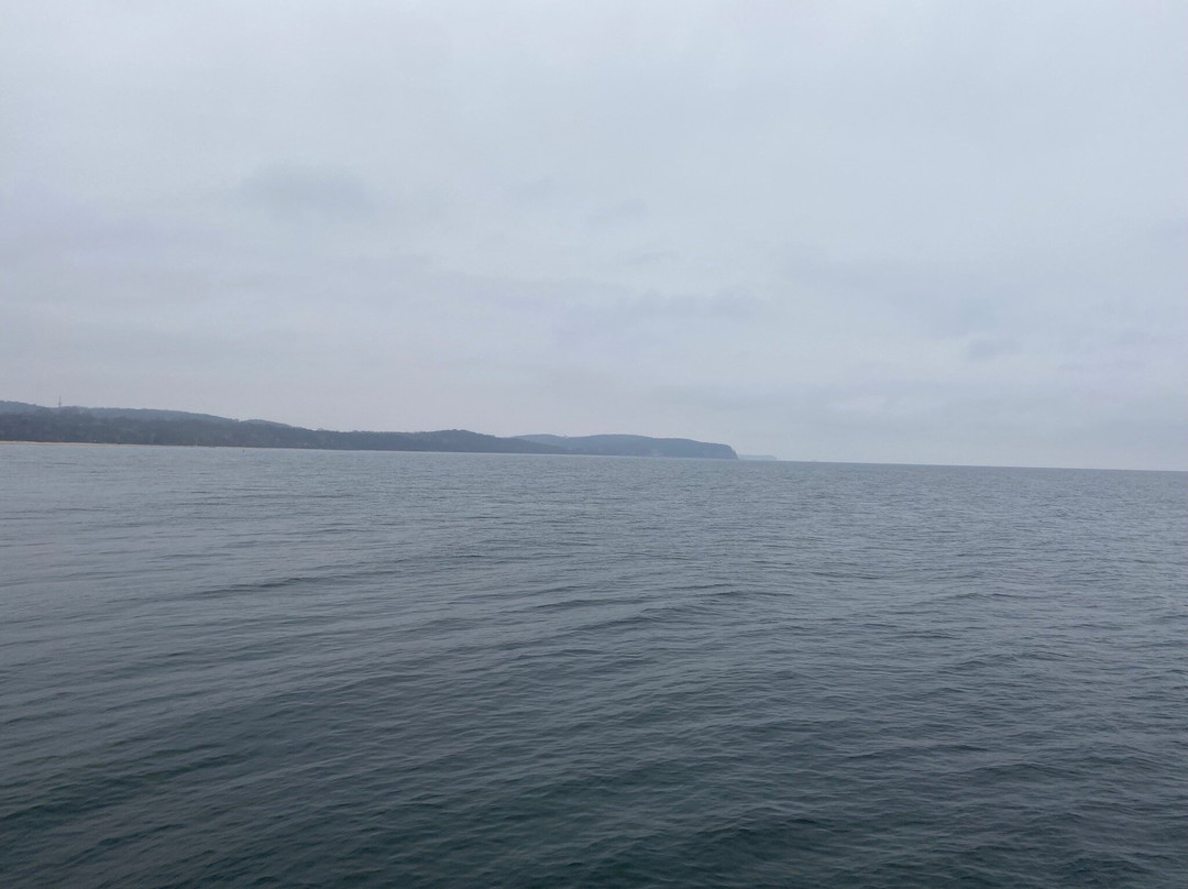 Sopot Pier-索波特必去景点