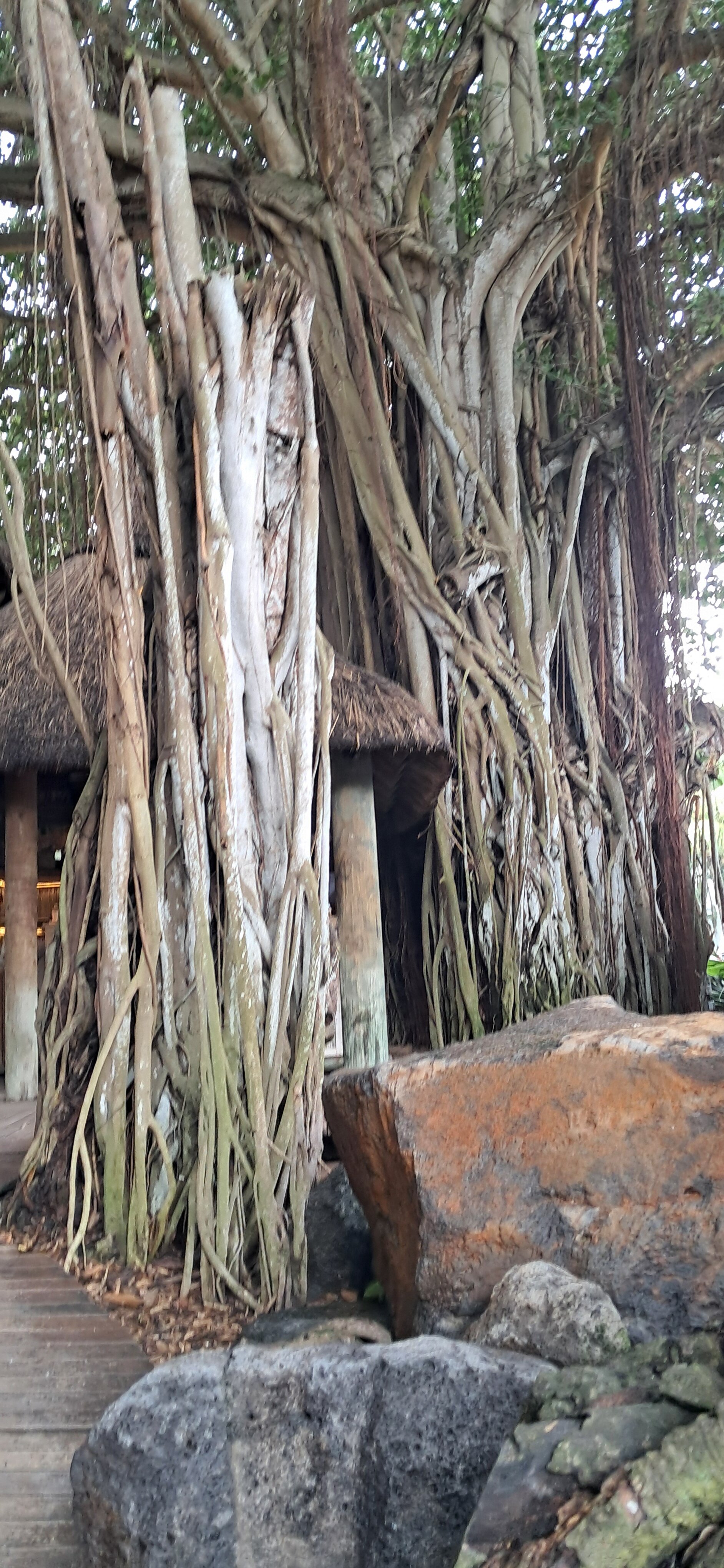 巨浪乐卡诺涅尔酒店-浴室