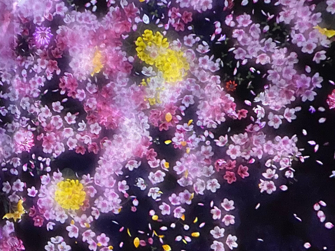 Teamlab Borderless Tokyo Azabudai Hills-港区必去景点