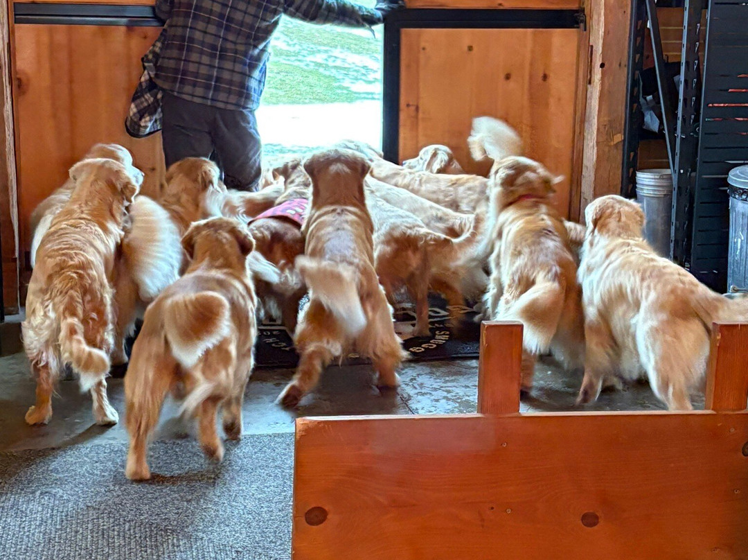 Golden Dog Farm-Jeffersonville必去景点