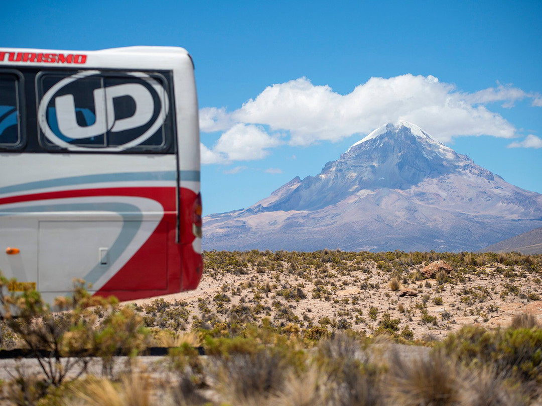 Sajama National Park-奥鲁罗必去景点