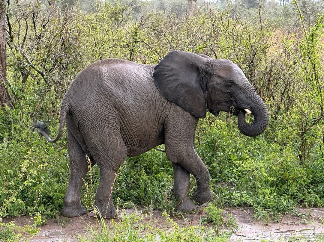 Insight Safari Holidays-Kanungu必去景点