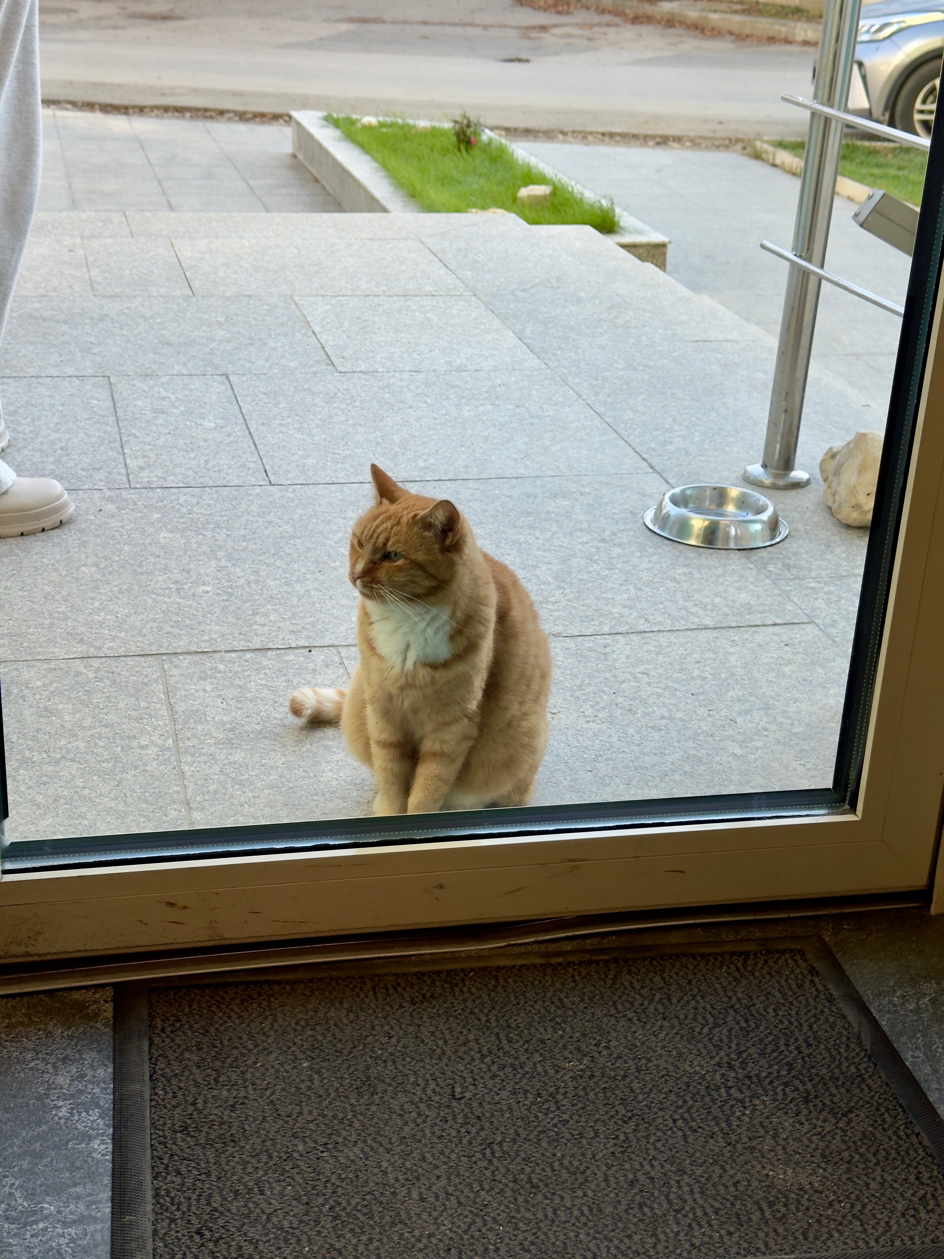 Mirage Medspa Hotel-官方