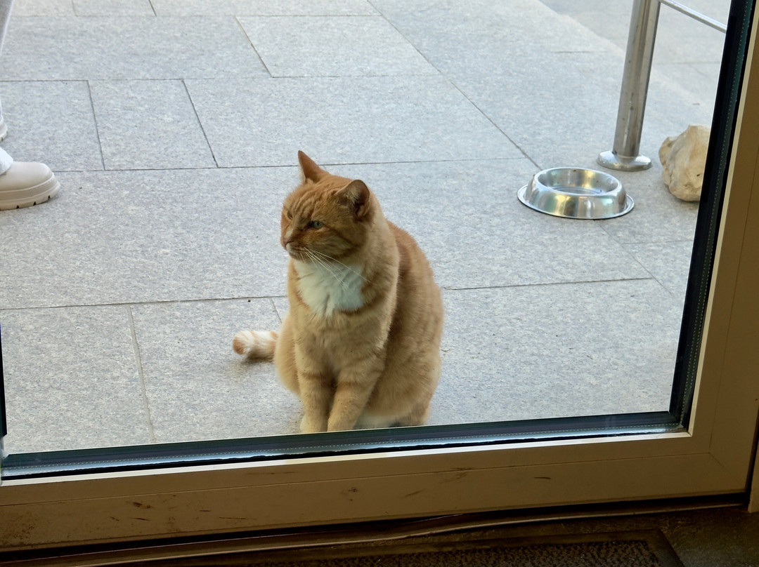 Mirage Medspa Hotel主图