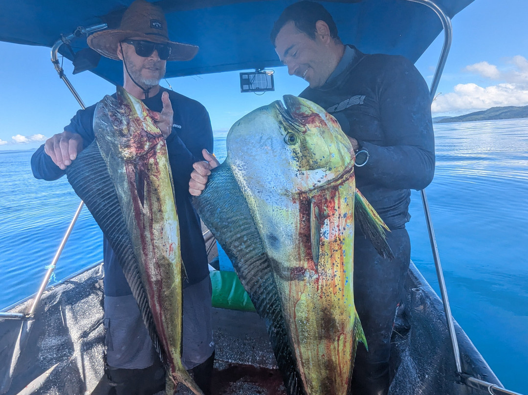 Spearbaby-Santa Catalina必去景点