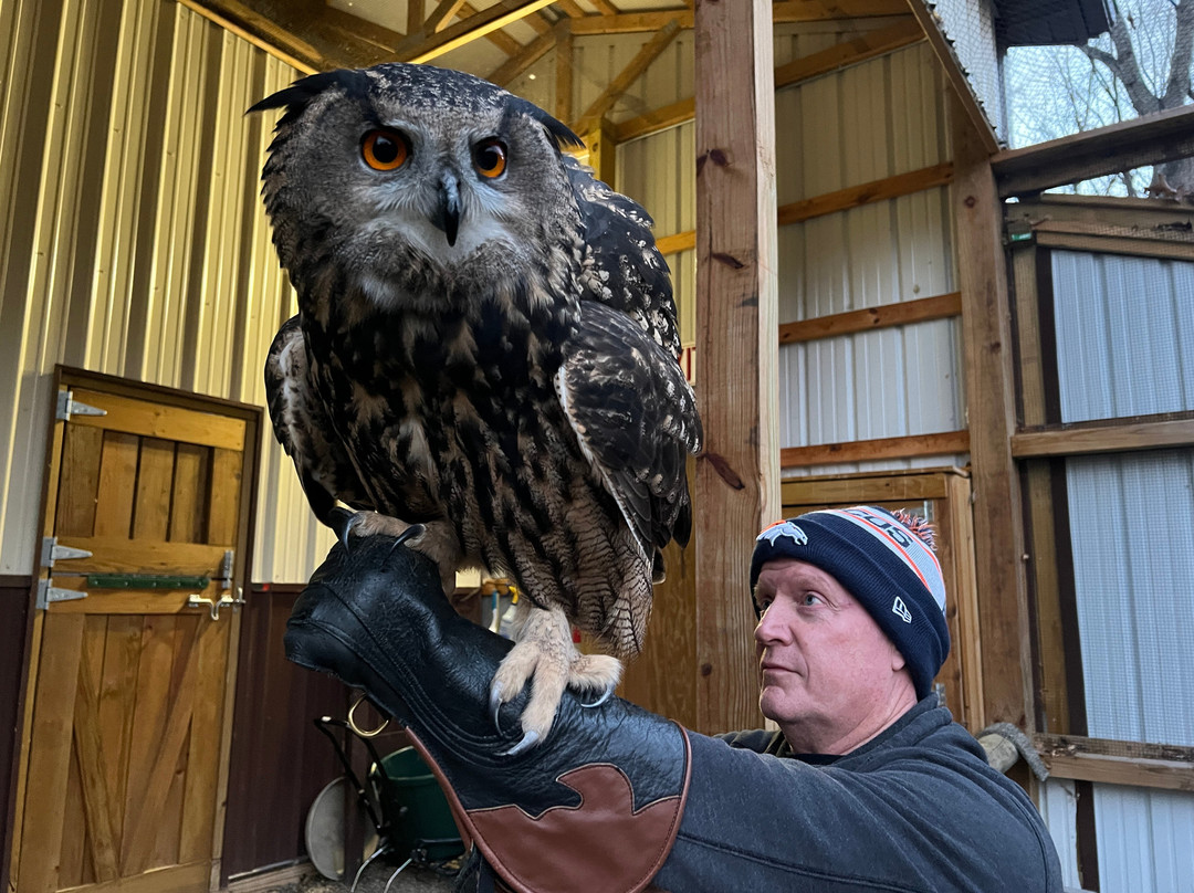 Raptor Hill Falconry-Stanley必去景点