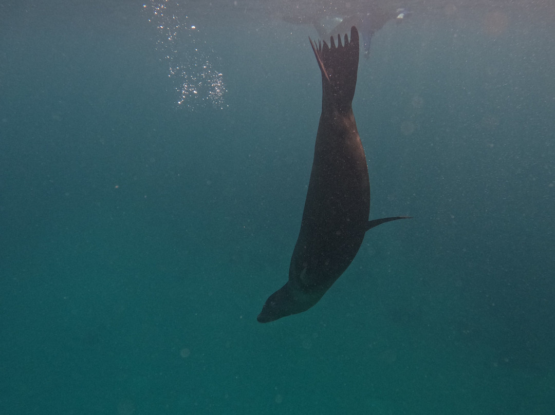 Galapagos by Local Guides-圣克鲁斯必去景点