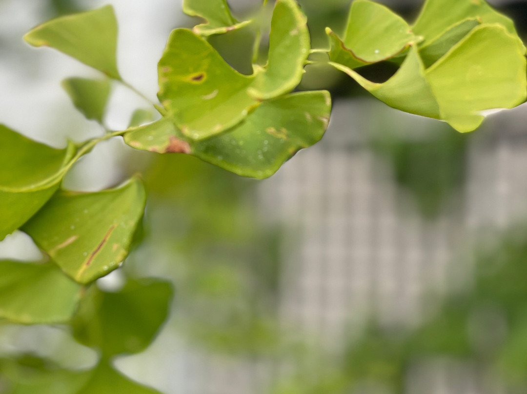 House of Wessex International-Glen Innes必去景点