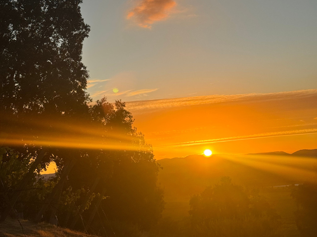 Viña Ventisquero - Mirador La Roblería-圣克鲁斯必去景点