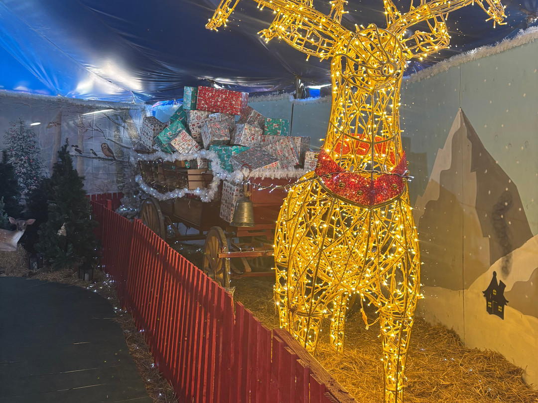 Kent Life-梅德斯通必去景点