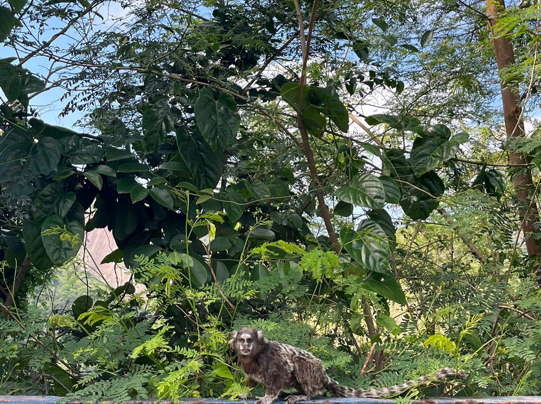 Forte Duque de Caxias-里约热内卢必去景点