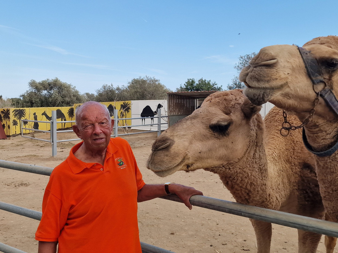 Camel Park-玛佐托斯必去景点