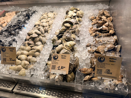 TopDogTours Boston-波士顿必去景点