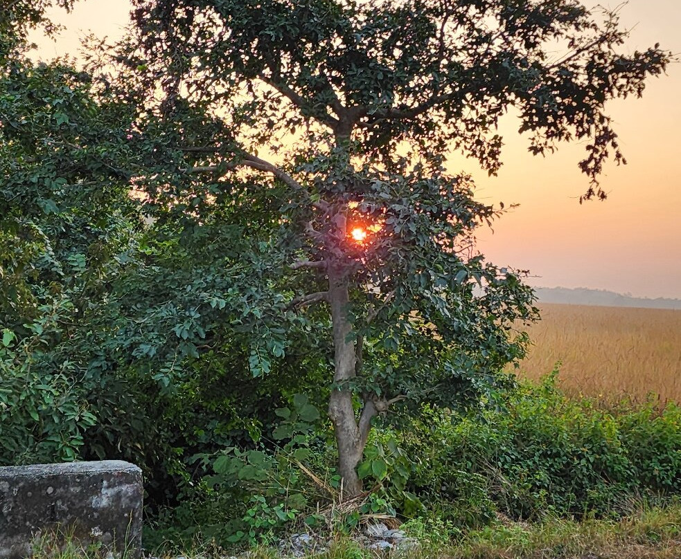 707 Tours-新德里必去景点