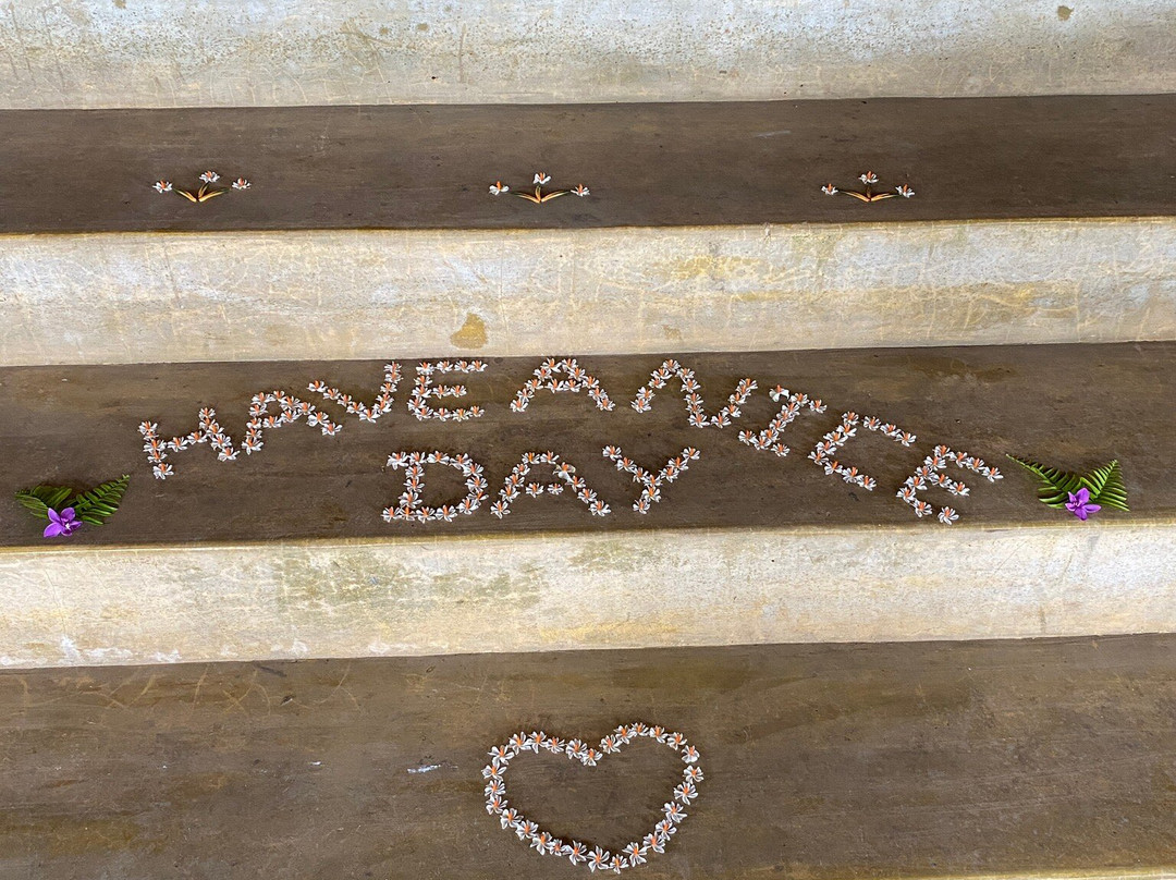 Rainforest Edge主图