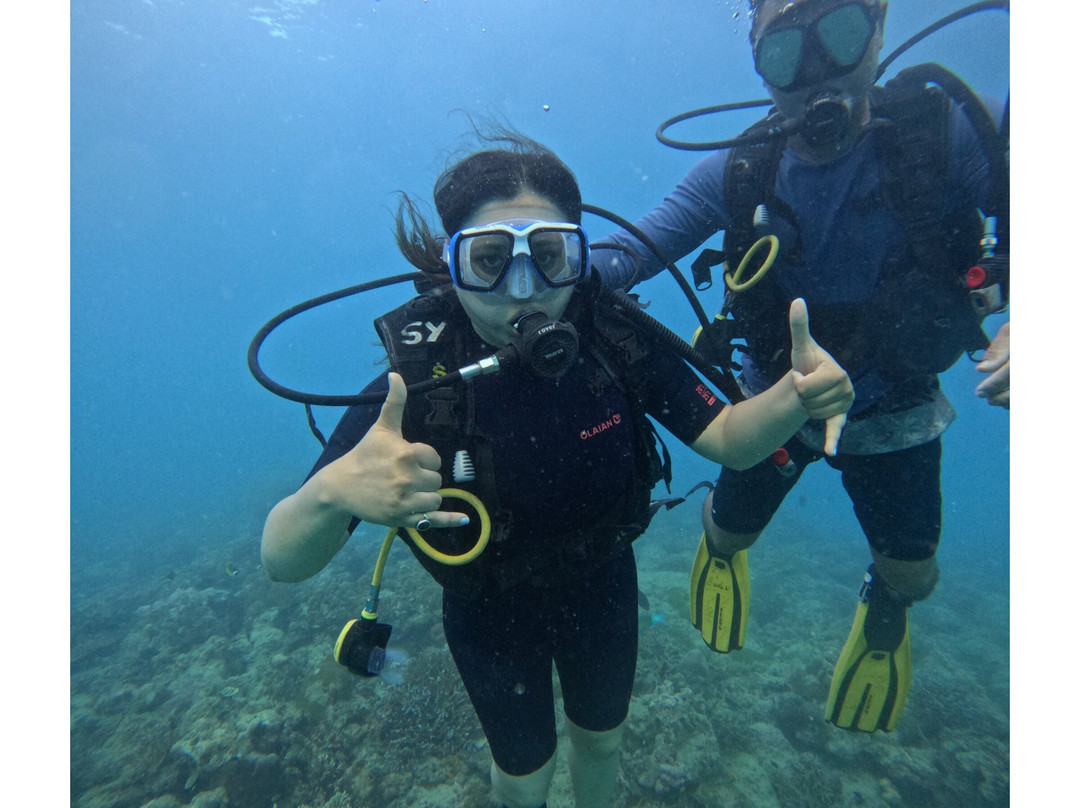 Scuba Yogi-Neil Island必去景点