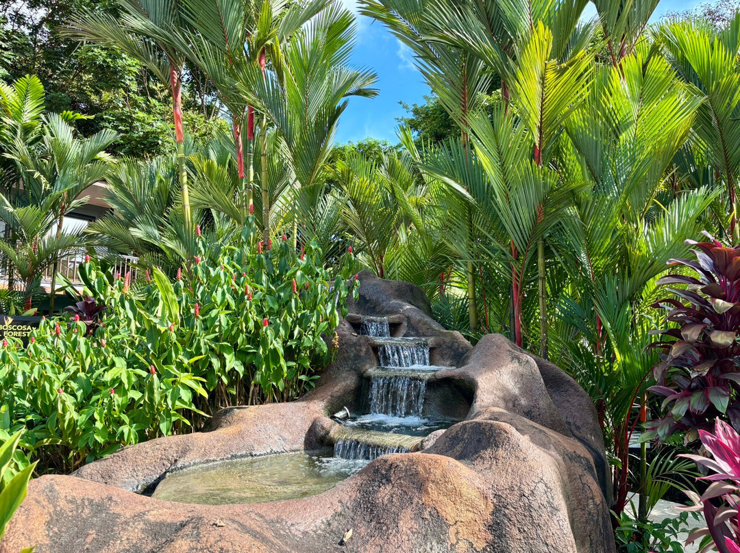 Best of Costa Rica DMC-圣何塞必去景点