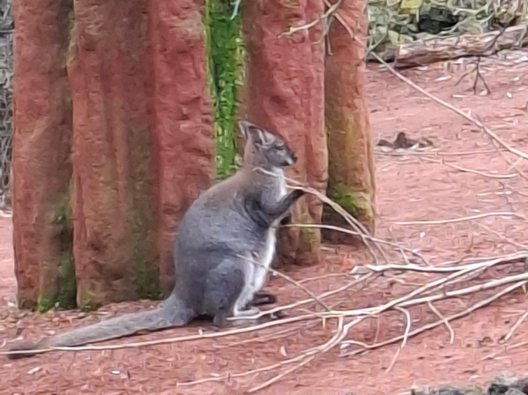 苏黎世动物园-苏黎世必去景点
