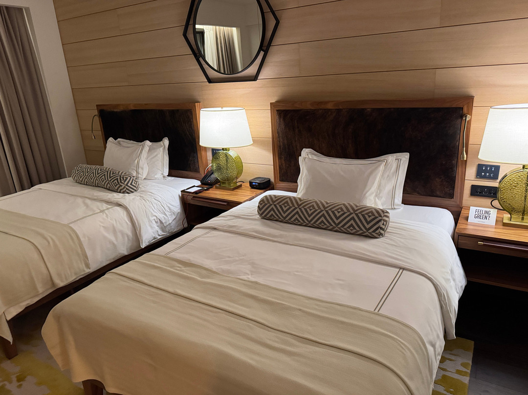 Viceroy Kopaonik Serbia主图