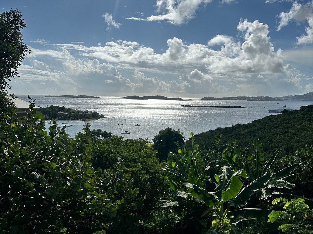 Estate Lindholm主图