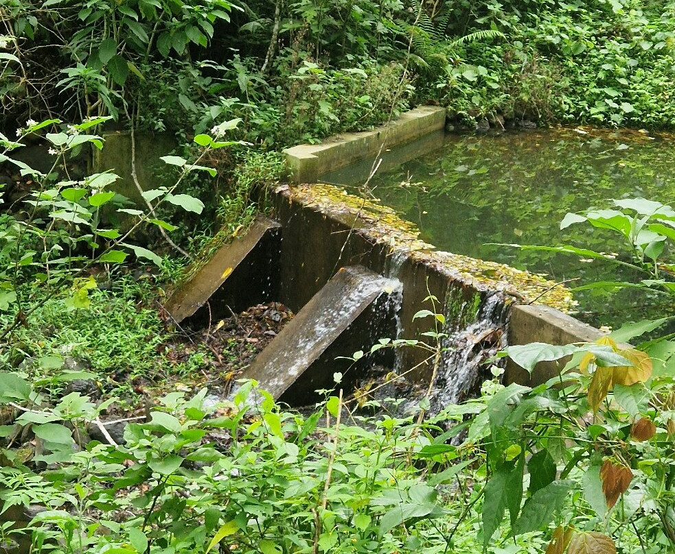 Parc Nationale Montagne D'ambre-Joffreville必去景点