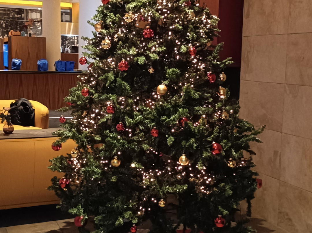 巴斯琛哥罗普酒店主图