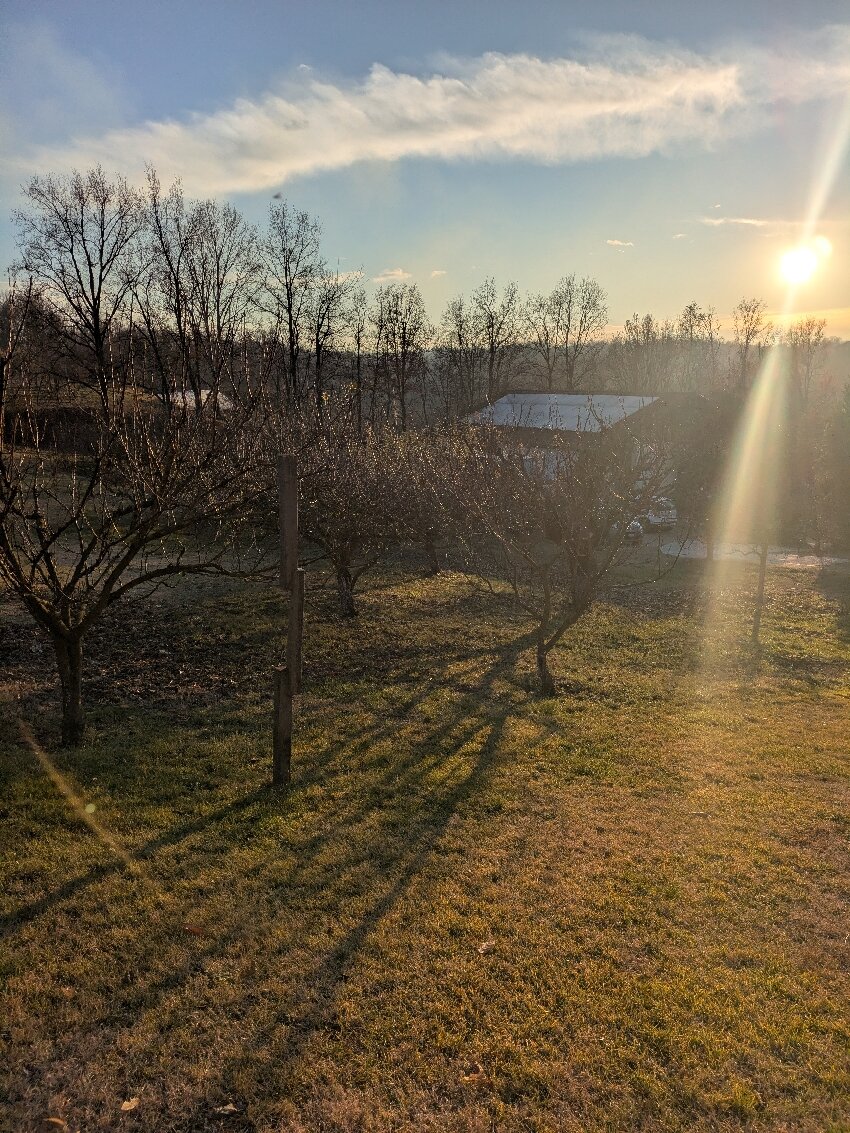 Cascina Papa Mora-官方