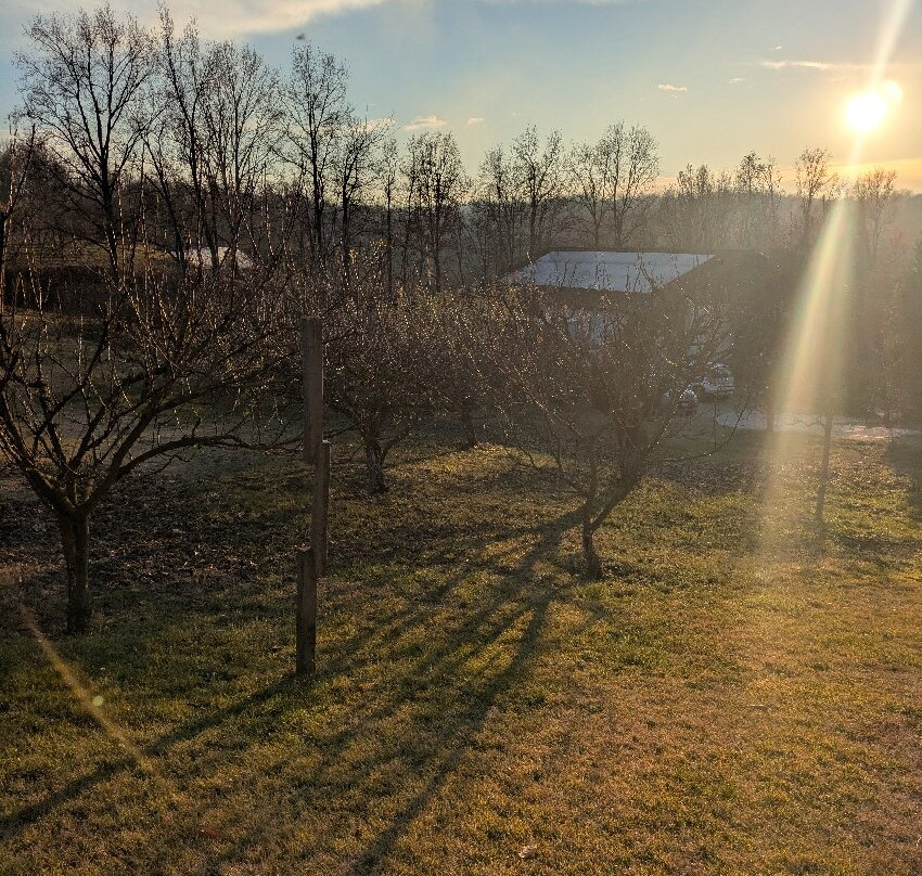 Cascina Papa Mora主图