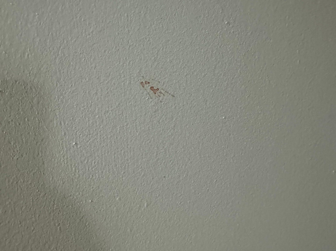 雷鸟汽车旅馆主图