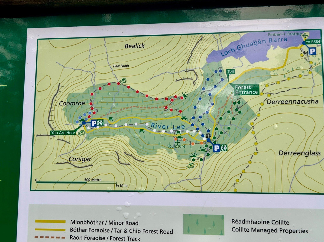 高登巴拉公园-Gougane Barra必去景点