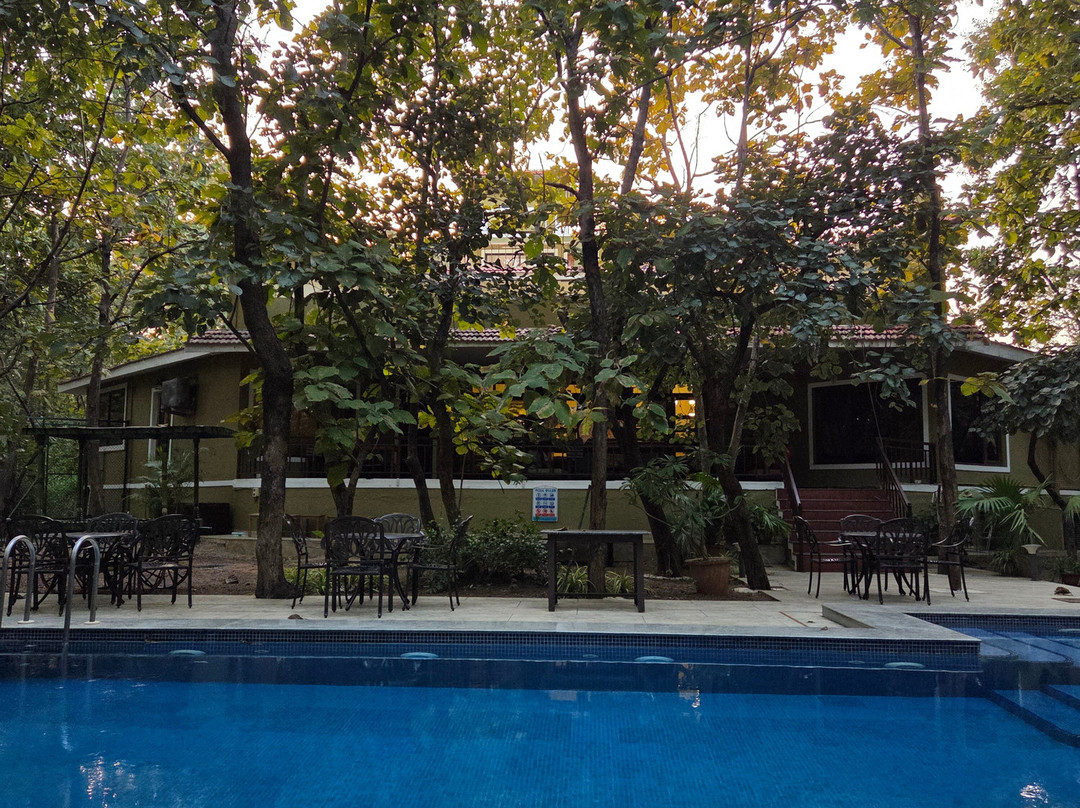 Tigress@ghosri - Tadoba主图