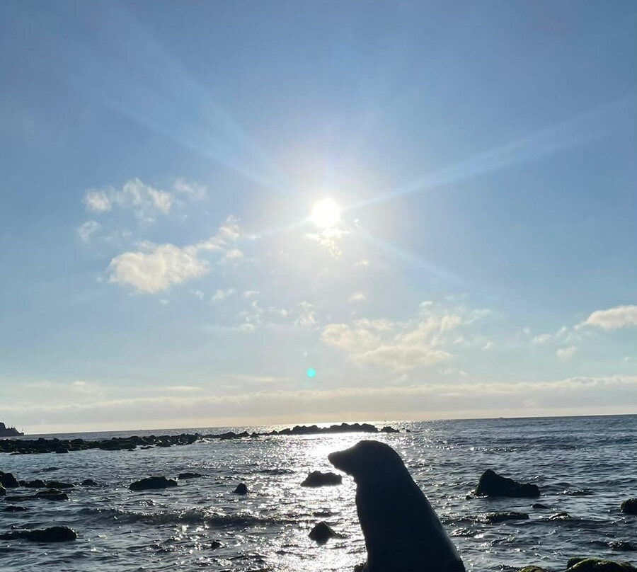 Smart Galapagos-阿约拉港必去景点