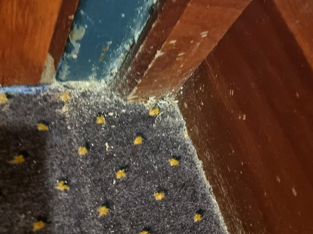 Renmark Country Club主图