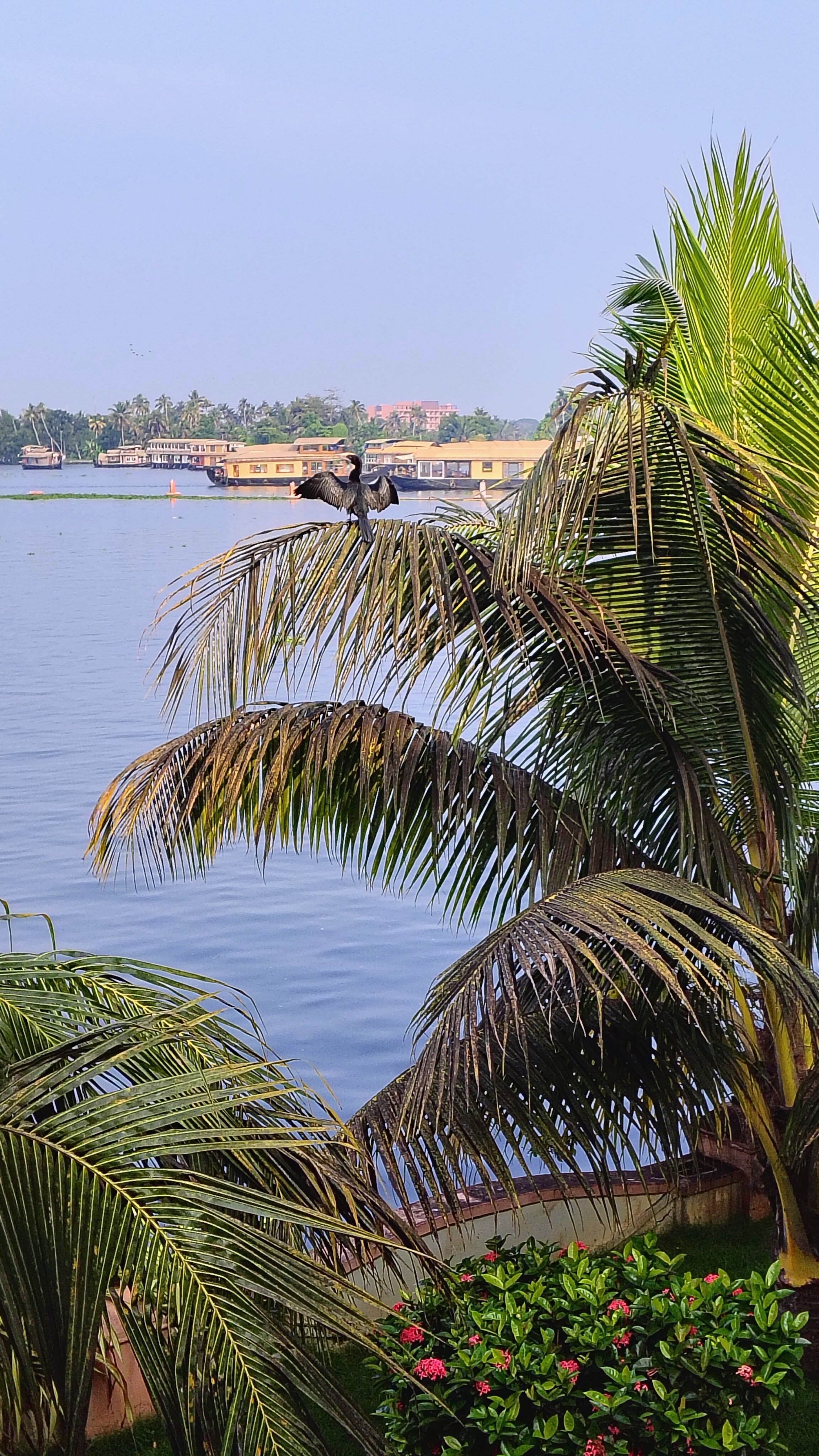 湖宫 - 豪华回水渡假村-官方