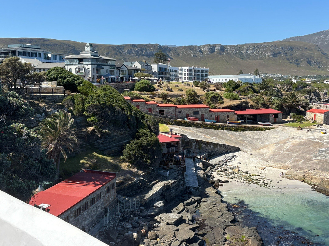Hermanus Cliff Path-赫曼努斯必去景点