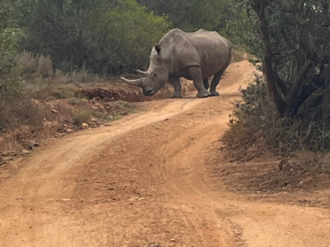Sizanani Adventure Tours-开普敦必去景点