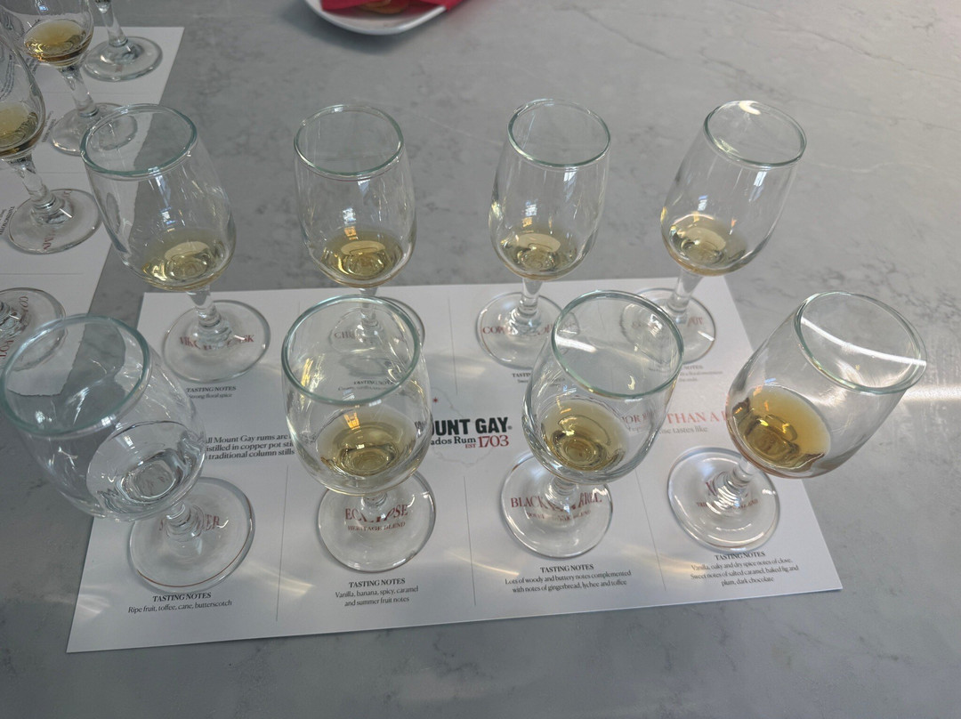 Mount Gay Rum Distillery-Benthams必去景点
