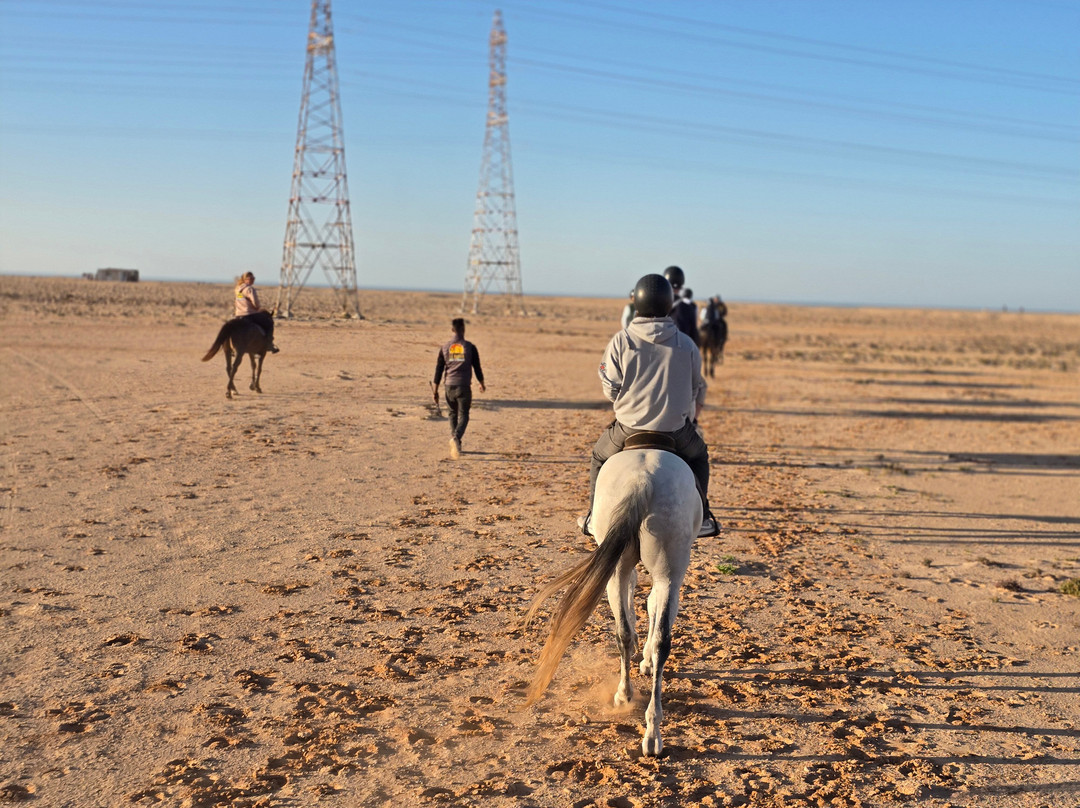 Ranch Des Dunes-达赫拉必去景点