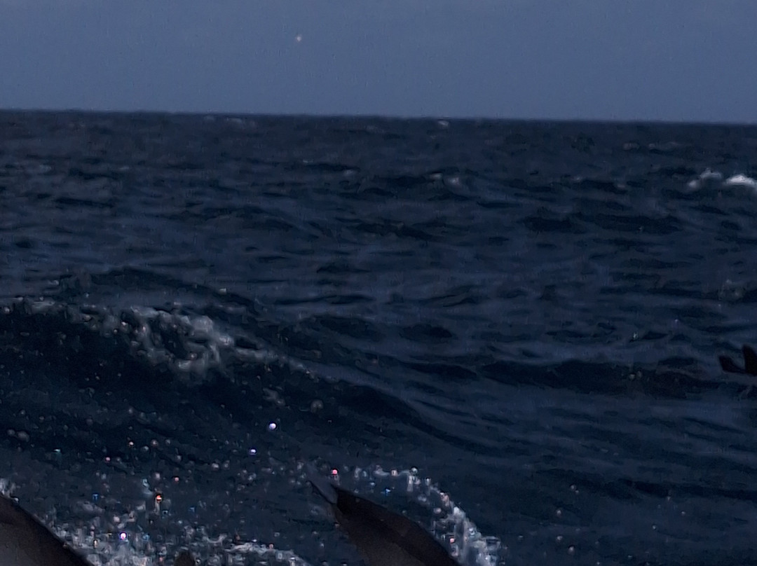 Seahorse Resort主图