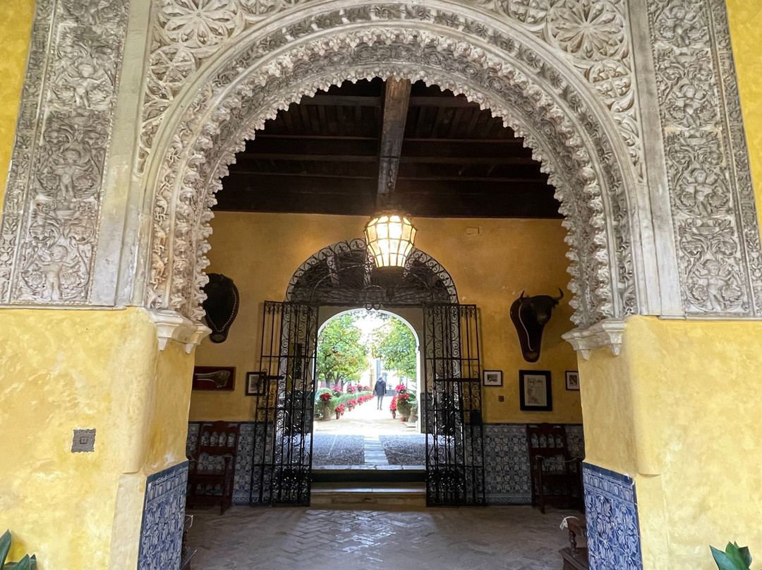 Palacio De Las Duenas-塞维利亚必去景点