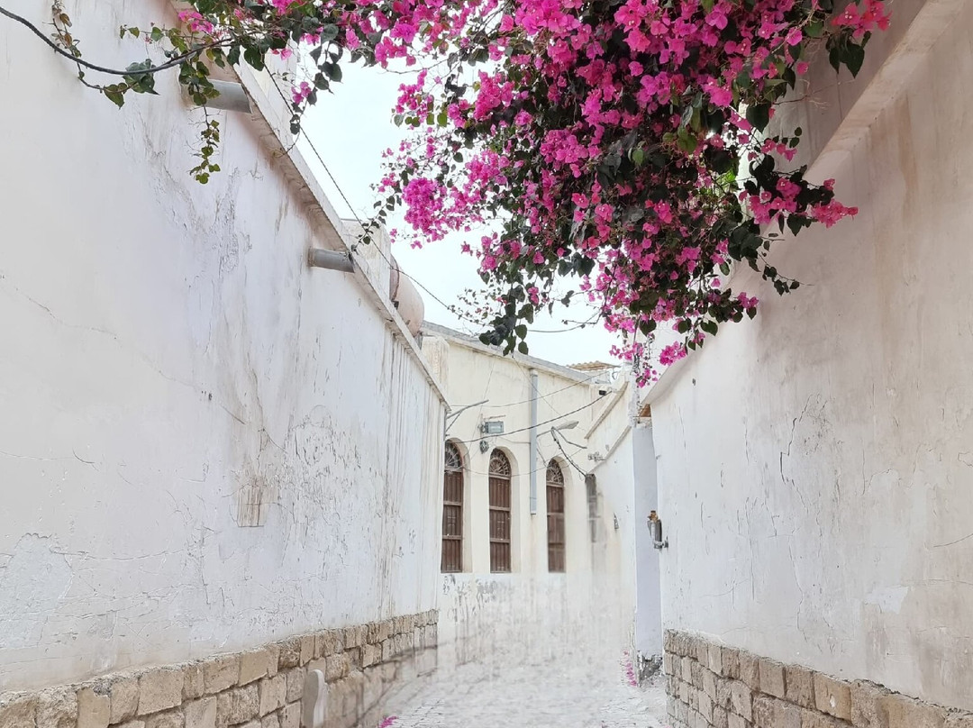Bushehr Old City-Bushehr必去景点