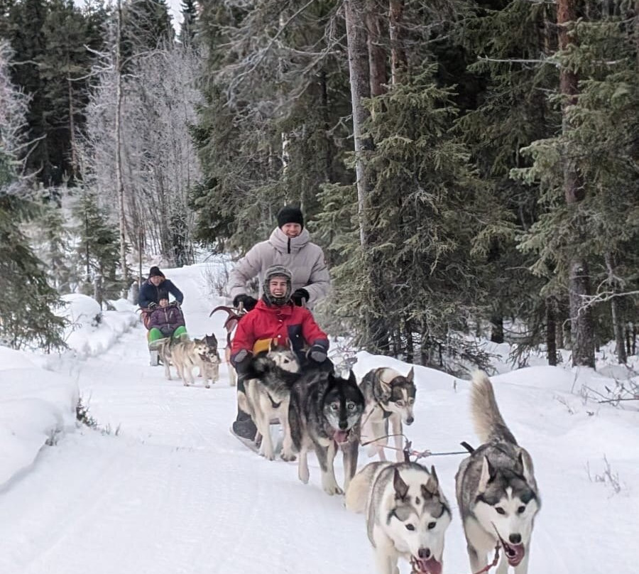 Aurora Borealis Adventures-Vindeln必去景点