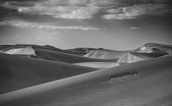 Desert Scorpion Adventure Tours-华维斯湾必去景点