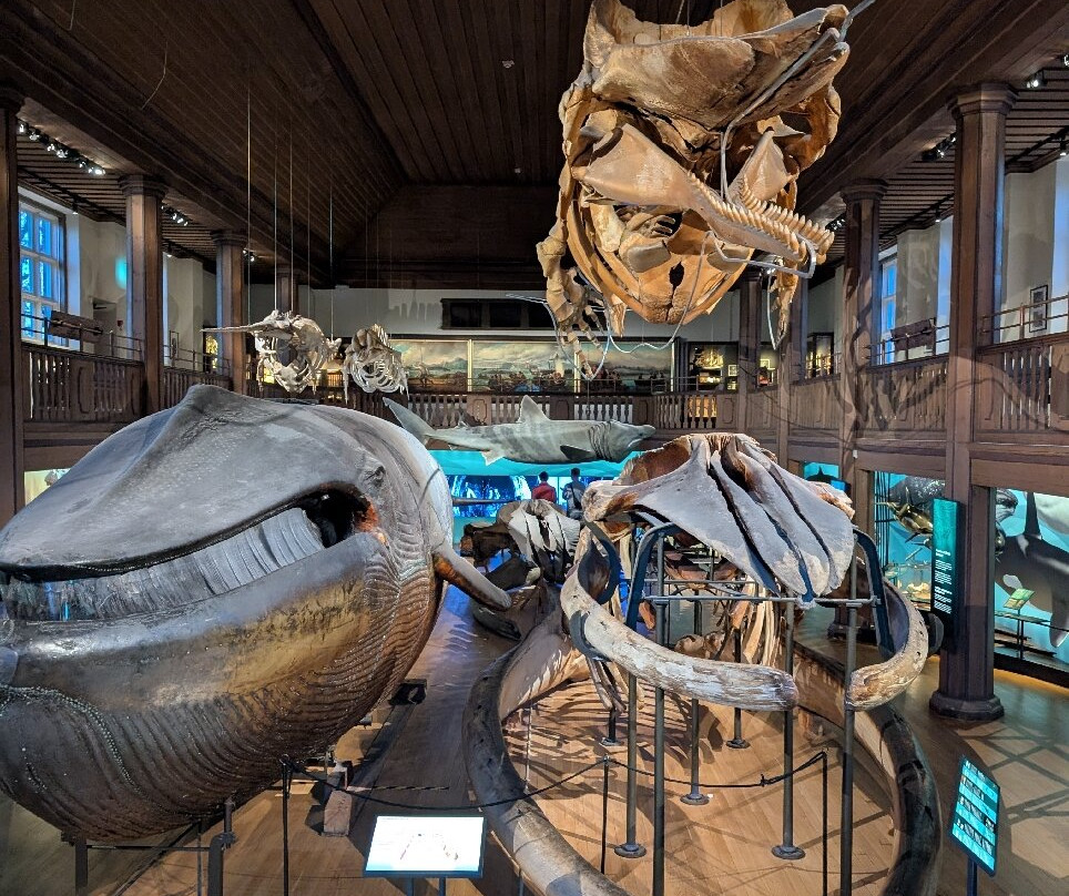 The Natural History Museum-哥德堡必去景点