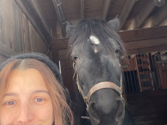 WhistleWood Farm Bed and Breakfast主图