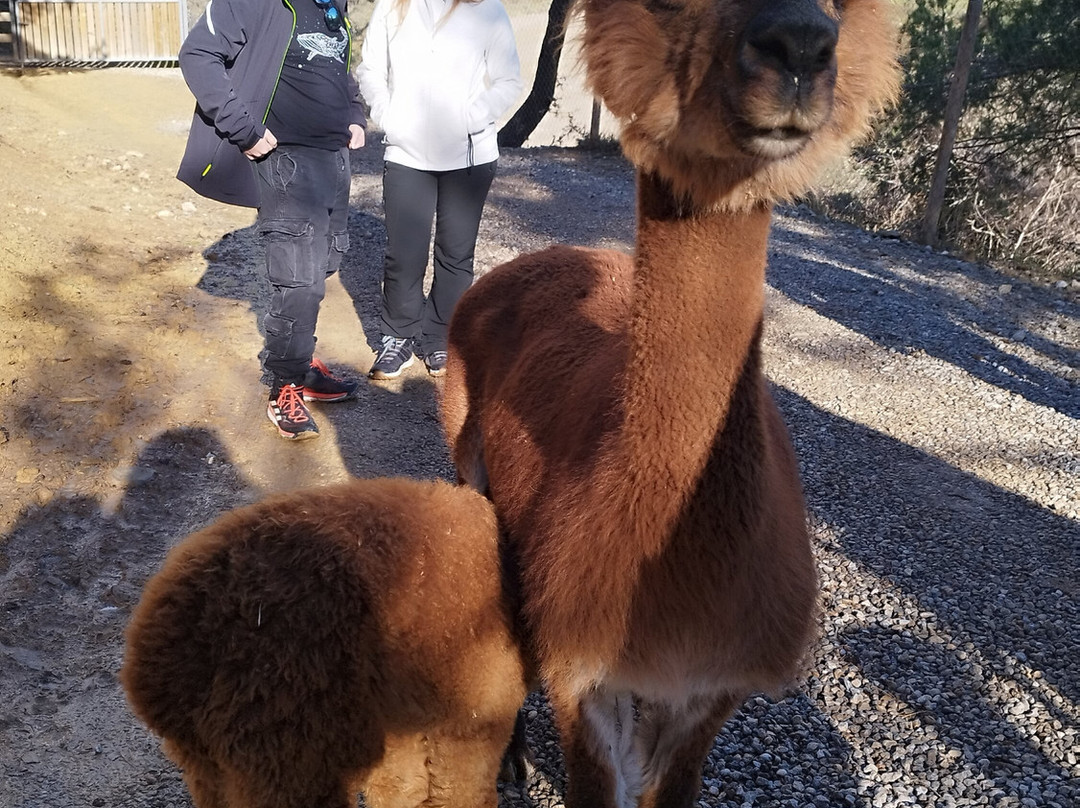 Merolla Berguedà-Berga必去景点