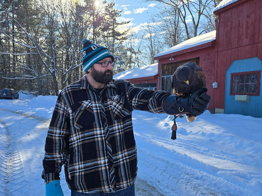 Monadnock Falconry-Temple必去景点