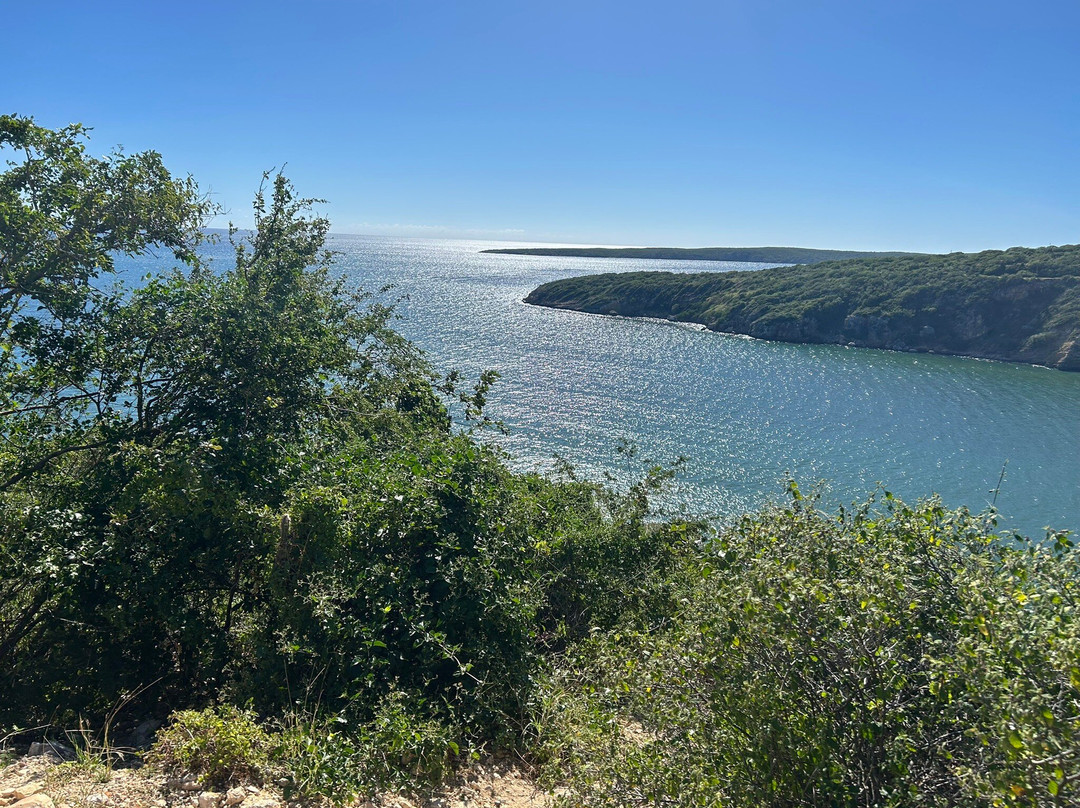 Bosque Estatal de Guánica-Guanica必去景点