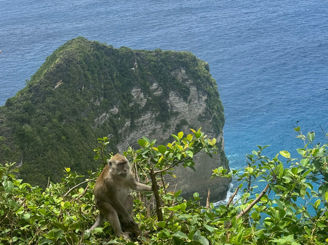 INDO COMPASS BALI-珀尼达岛必去景点